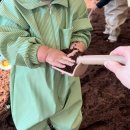 동탄중앙이음터 501호 | 용인 실내 14개월 아기랑 갈만한 곳 흙 체험 할 수 있는 프럼어스