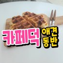 코코살롱 | 포항 카페덕 애견동반 양덕카페 다녀온 솔직후기