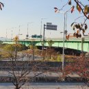 낙동강제방(2) 이미지