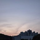 씨제이올리브영(주)홈플러스금천점 | [머니로그] 2024.06.15.~06.19. 가족과 함께하는 행복한 주말, 그리고 또 시작된 한 주🥲