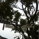 불광산약수터 이미지