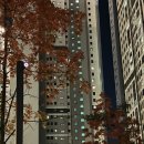 잘먹는 임신 22주,23주,24주차 안정기 일상:)