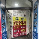 유성나무공인중개사사무소 | 댓거리부동산 추천 | 경남대 앞 유성공인중개사 유성부동산 찐 방문 후기