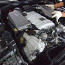 골드모터스 이미지