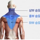 시민생활체육관 체육관 이미지