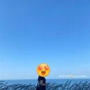 씨네호텔 이미지