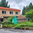 [화순 안양산 편백숲 산책로 - 무등산편백자연휴양림 후기]