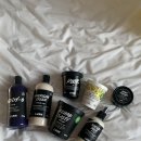 5170 | 러쉬세일 러쉬 판교점 오픈런 웨이팅후기 러쉬추천템