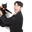다홍기획