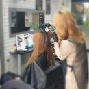 클로젯헤어 네이버블로그