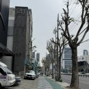 청담-138 | 대구 워킹 신부 더 청담 엘브라이드 드레스 투어 + 내 돈 내산 메이크업 후기