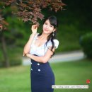 선화 이미지