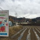 동막용수골마을 이미지