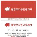 천년치킨호프 이미지