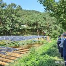 분당태양광발전소 이미지