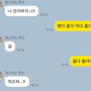 온설케이크 네이버블로그