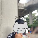 화개리 1972 광안점 | 7월 워터밤 부산 후기