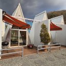 킹 | 천안 애견동반가능한 야외바베큐장 비비킹 후기