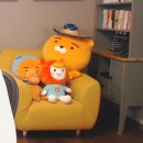 댕댕이라이프 이미지