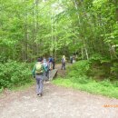 Camel's Hump, VT (05/28/21) 이미지