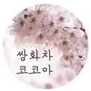 직장인 브랜드 데일리백 이미지