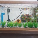 청주약품 이미지