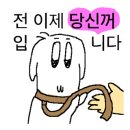 라모드플레르
