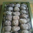 장흥표고버섯 추석선물용 소개 이미지