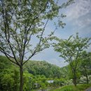 퀼트(야간) | 여름과 함께 오는 비 in 천왕산캠핑장 / 산들로 250쉘터 / 씨투써밋 퍼수트 / 베라캠프 큐체어 / 에버뉴...