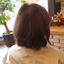 리안헤어(강변역점)