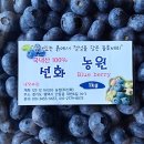 선화농원 이미지