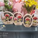 스칸디아모스 카네이션 바구니 만들기 이미지