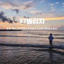 57빌리지 | 신두리해수욕장펜션 오션뷰 태안감성숙소 57빌리지 – 수영장과 갯벌체험 노을감상 아이와함께 놀거리 후기