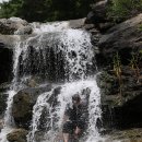 웅석봉초록길 이미지