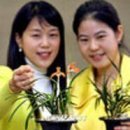 한국춘란 전시회 이미지