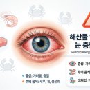 세일부동산중개사무소 이미지