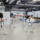 내체력 태권도장 이미지