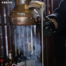 수영동우담