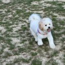 선희네야식 | 내 어둠 속에 한 불씨 같은 너