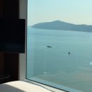 파크하얏트부산 세탁실 | 부산 오션뷰 레스토랑 파크하얏트부산 리빙룸 후기｜마리나오션 코너 스위트와 해운대 미나미 까지