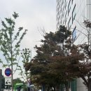 정인주유소 이미지