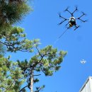 신안군보건소 이미지