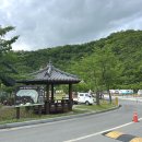 얼음골 봄 | (경북 의성) 가족과 함께 가기 좋은 빙계얼음골야영장
