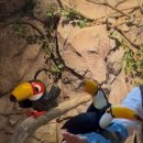 작은동물원 이미지