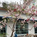 원조설악추어탕식당 이미지