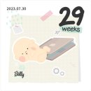 네로마의류 | 임신일기 29주 ~ 30주차 일상 임신후기 진입