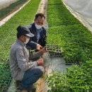 서천군농업기술센터 이미지