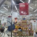 (행정용)다이소 앞(우) | 2026 다이소 신상 구경 뱁새 오목눈이 시리즈 리뷰