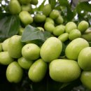 산외농장 이미지