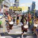 삼바 파고지 이미지